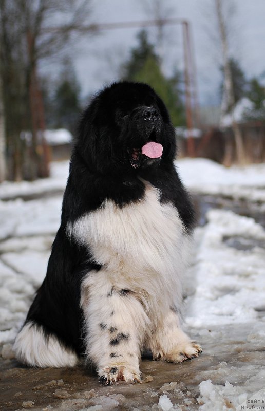 Фотография № 205126