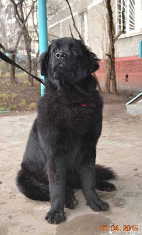 Фотография № 205153