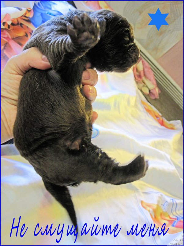 Фото: [d13526]+[d11539]=дети АФРОДИТА.