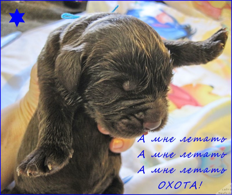 Фотография № 205159