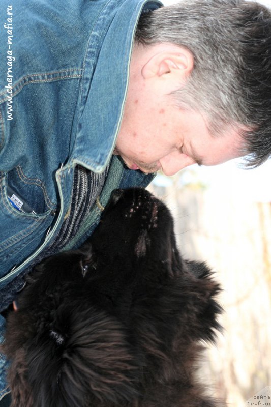 Фотография № 205205