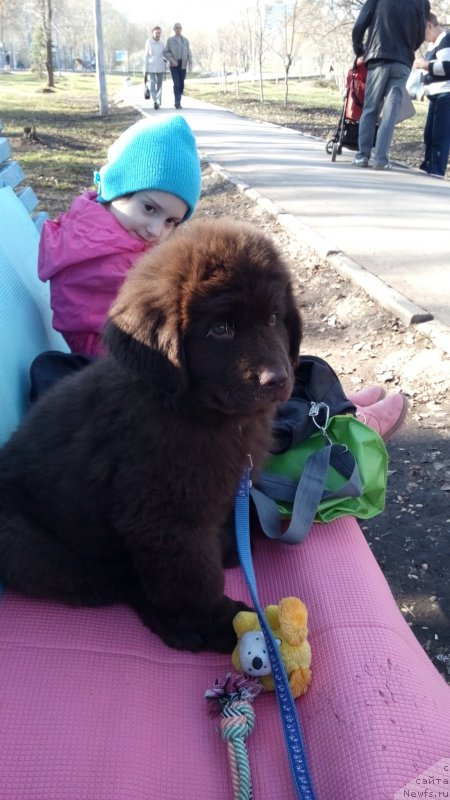 Фото: Бриз, за ним дочка.