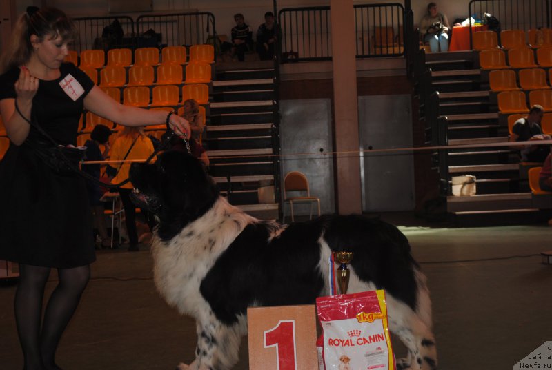 Фотография № 205317