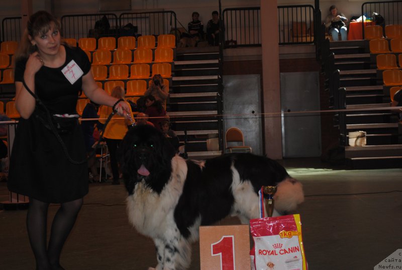 Фотография № 205318