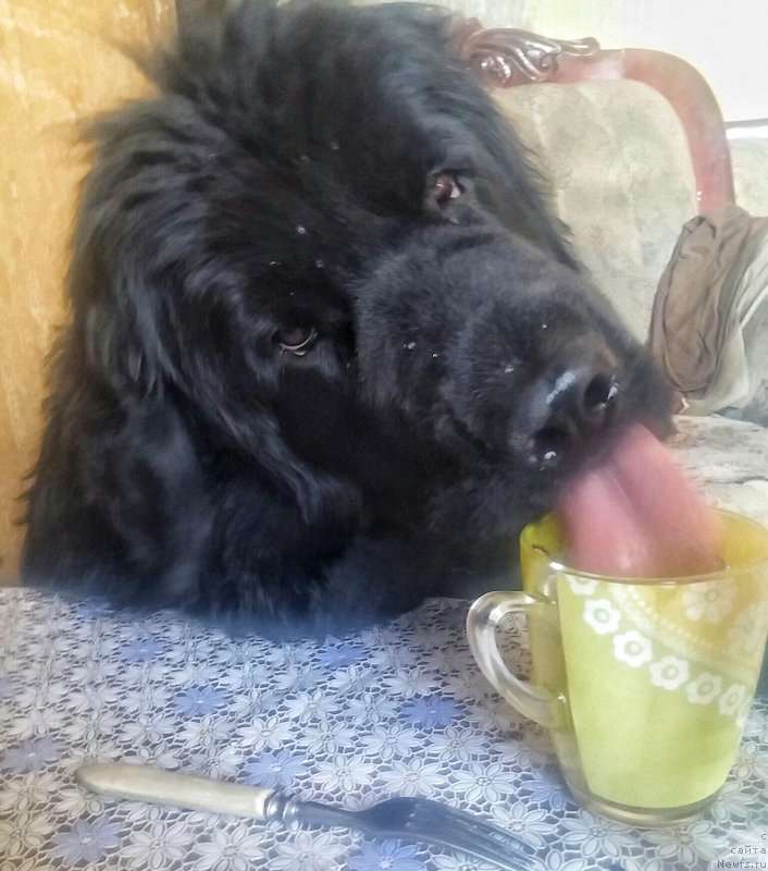 Фотография № 205324