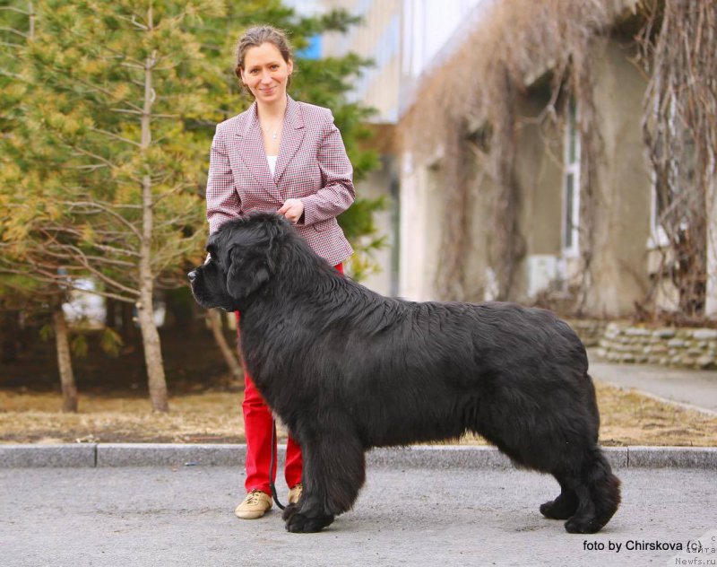 Фотография № 205336