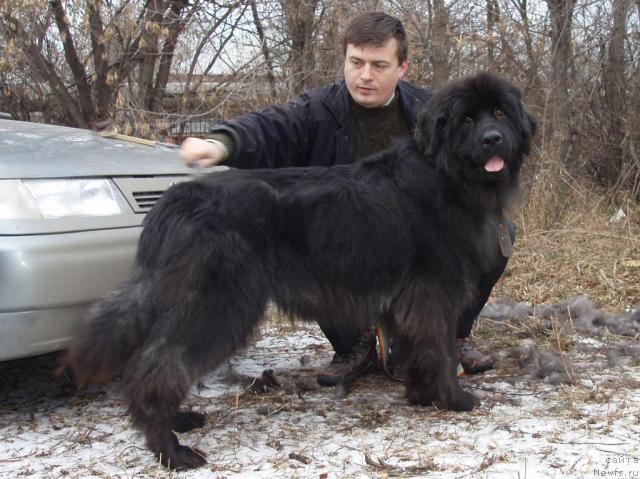 Фото: Oleg Bocharov (Олег Бочаров), Алдра