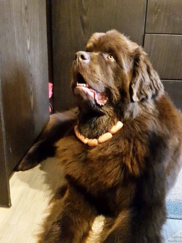 Фотография № 205368