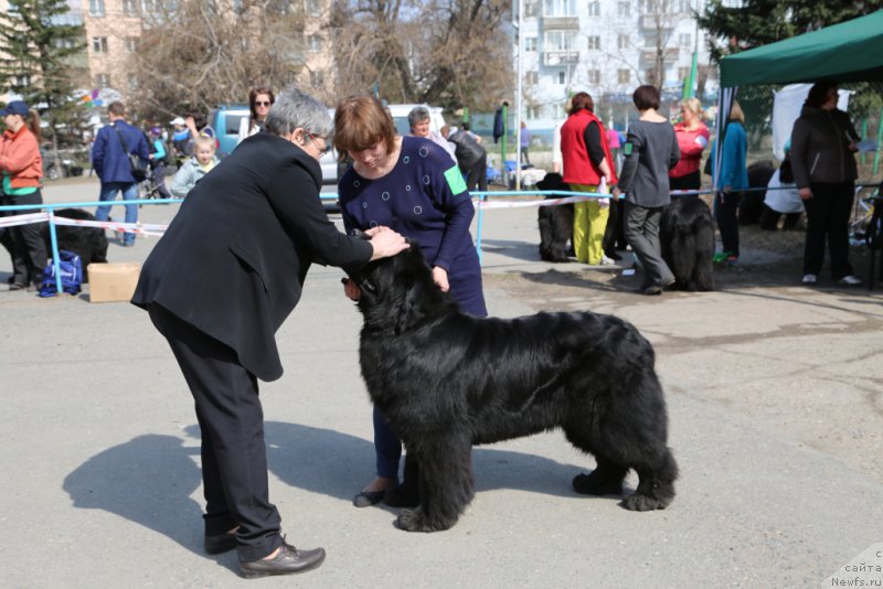 Фотография № 205375