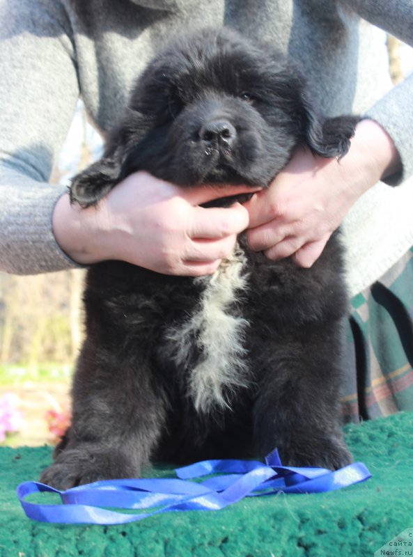 Фотография № 205381