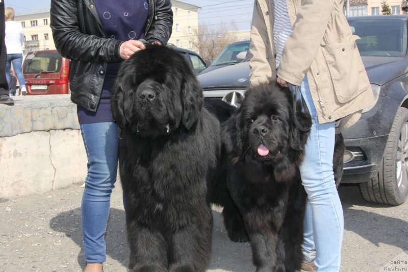 Фотография № 205397