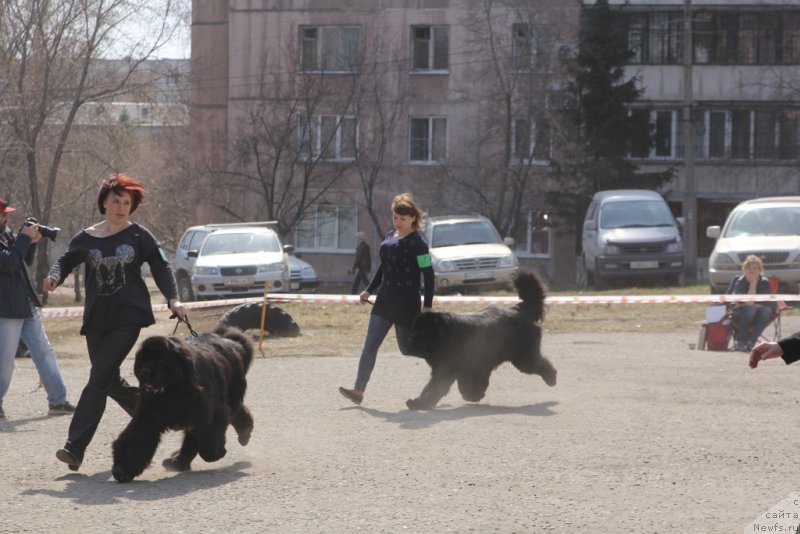 Фотография № 205398