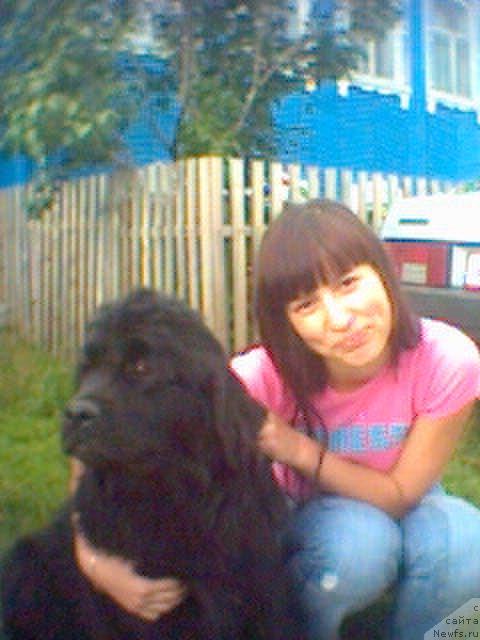 Фото: ньюфаундленд Severtan Rojdennaya Legendoy (Севертан Рожденная Легендой), Veronika Batina (Вероника Батина)