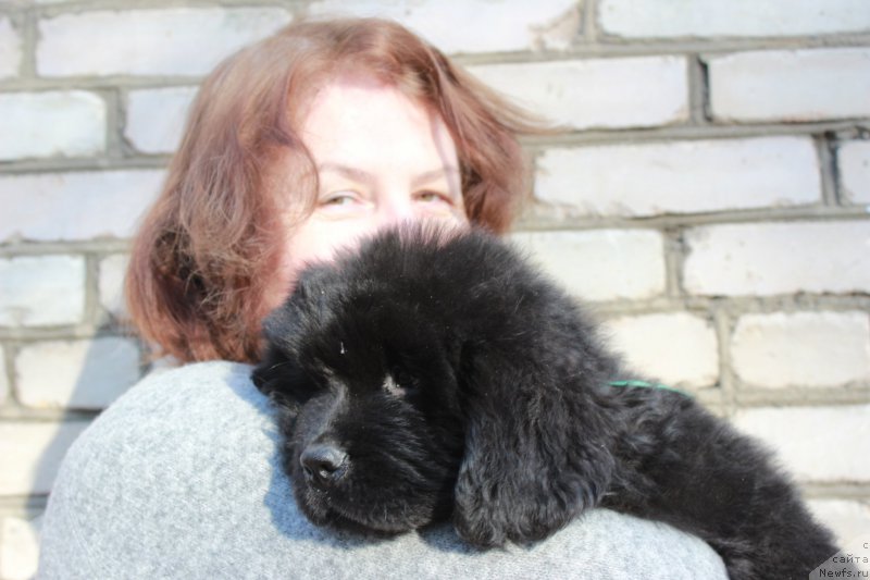 Фотография № 205409