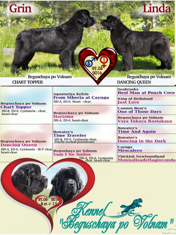 Фотография № 205410