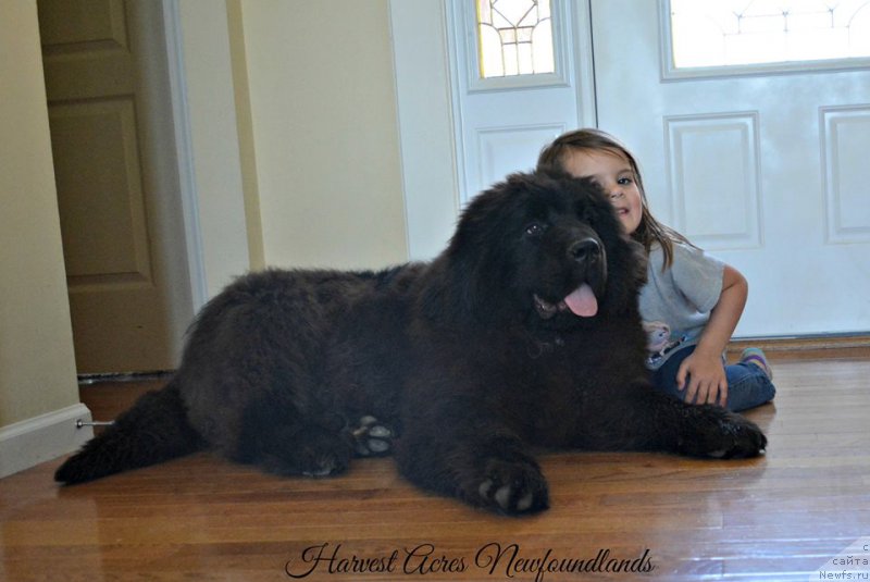 Фотография № 205435