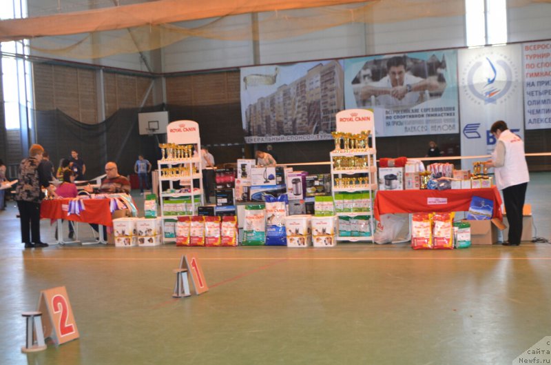 Фотография № 205439