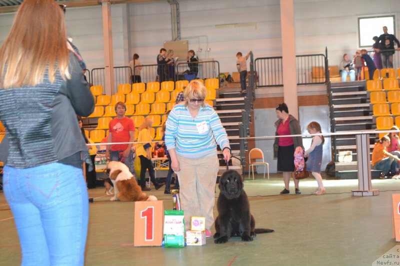 Фотография № 205447