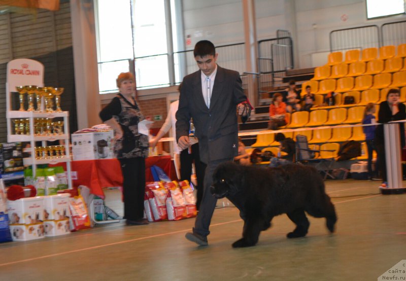 Фотография № 205451