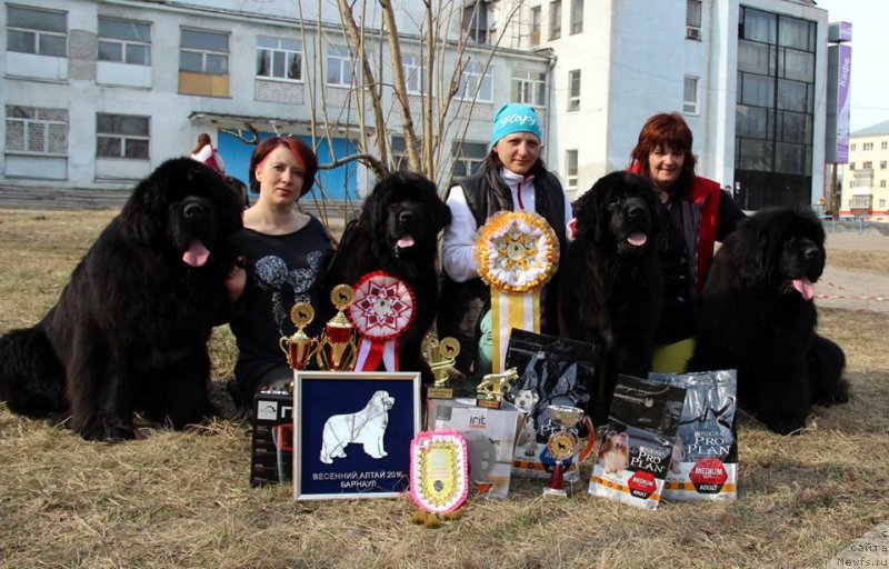 Фотография № 205452