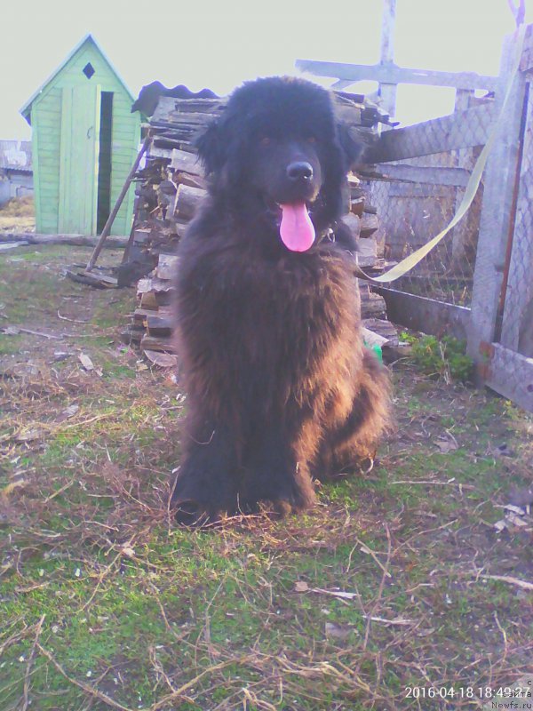 Фото: Ol'ga Ohotnikova (Ольга Охотникова)