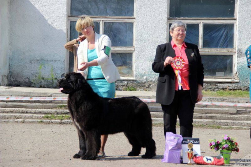 Фотография № 205459