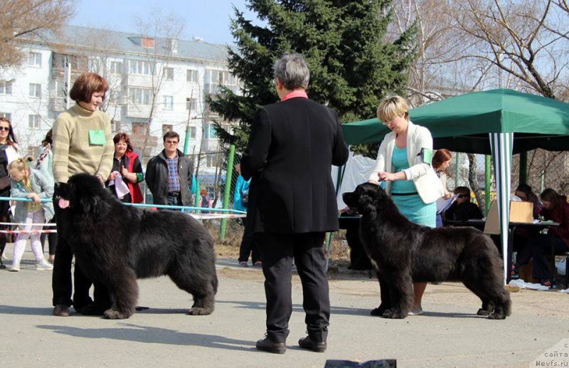 Фотография № 205461