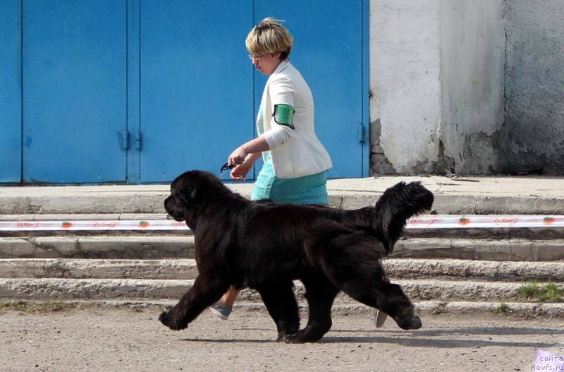 Фотография № 205462