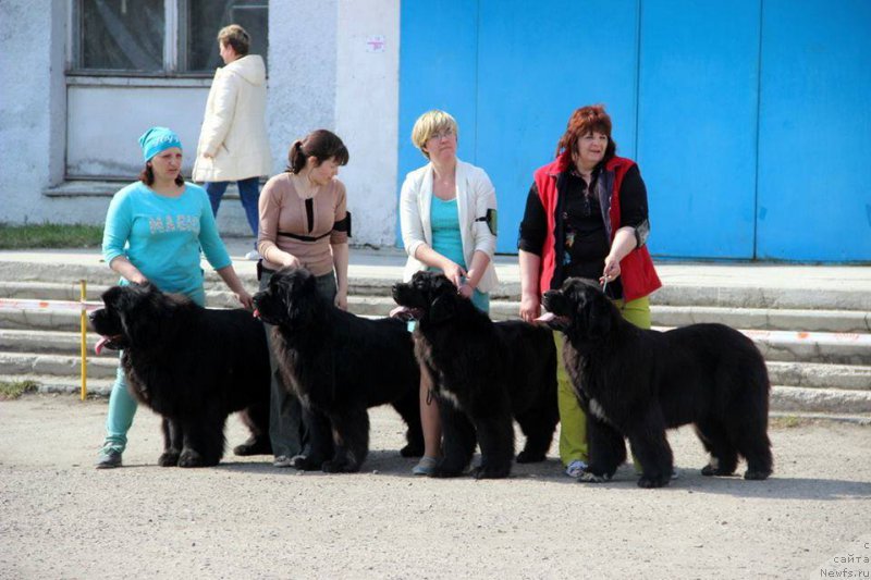 Фотография № 205474