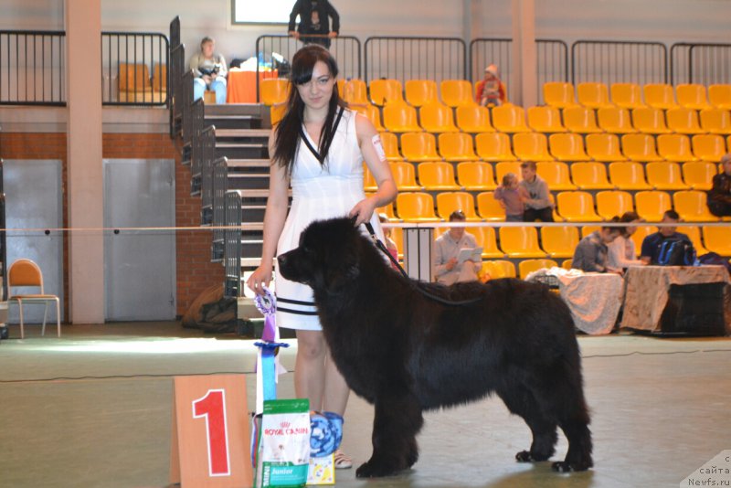 Фотография № 205486