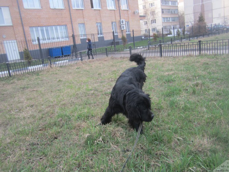 Фото: Natal'ya Smazchikova (Наталья Смазчикова)