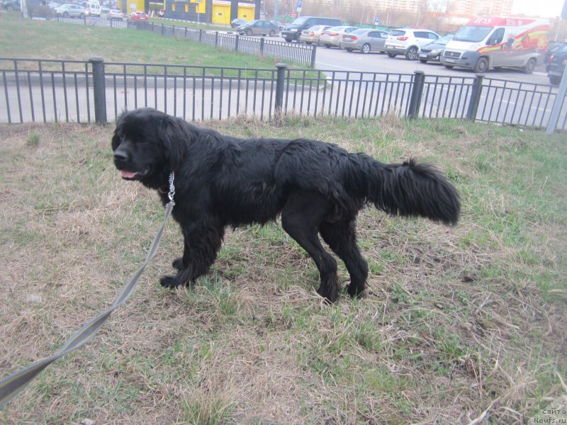 Фото: Natal'ya Smazchikova (Наталья Смазчикова)