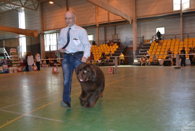 Фотография № 205495