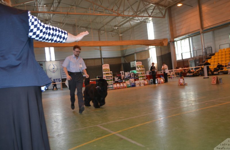 Фотография № 205497