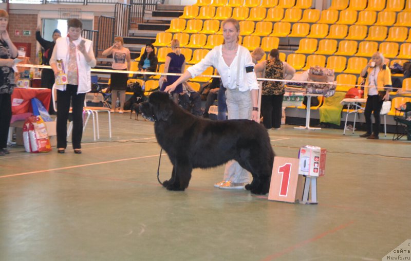 Фотография № 205505