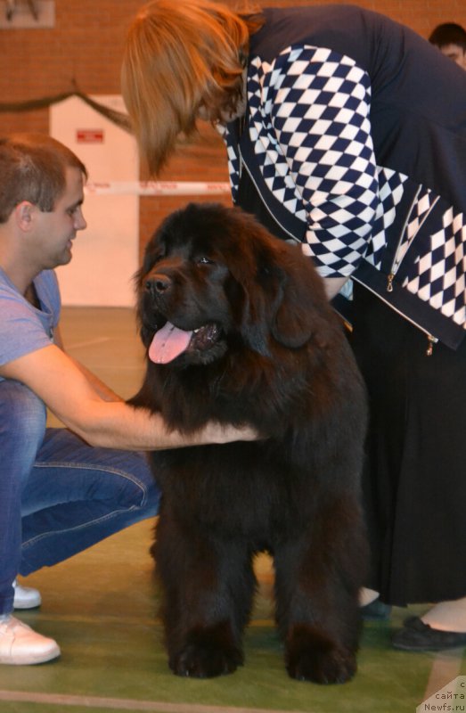 Фотография № 205508