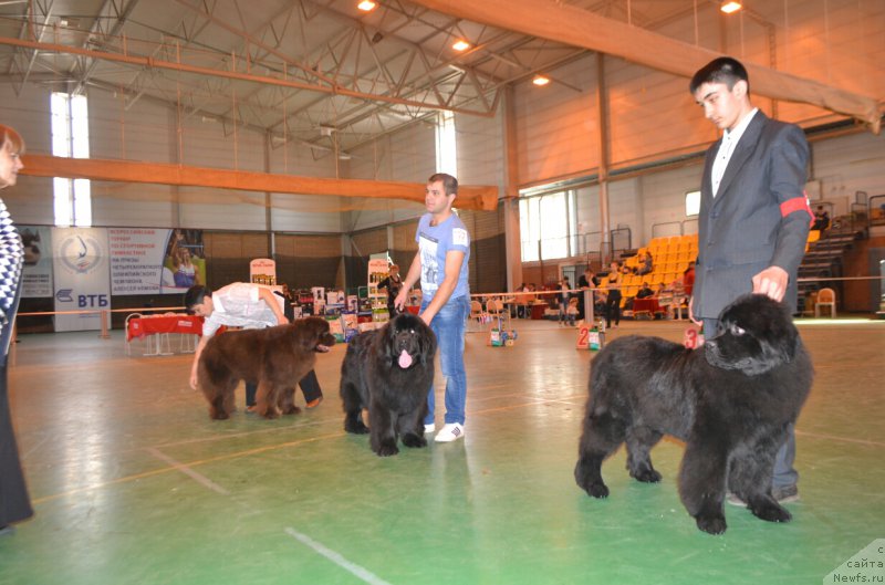 Фотография № 205510