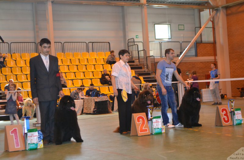 Фотография № 205511