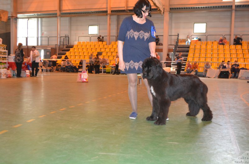 Фотография № 205513