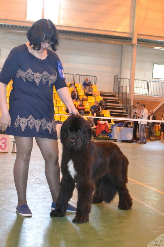 Фотография № 205514