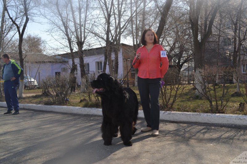 Фотография № 205601