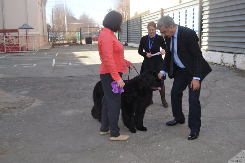 Фотография № 205602