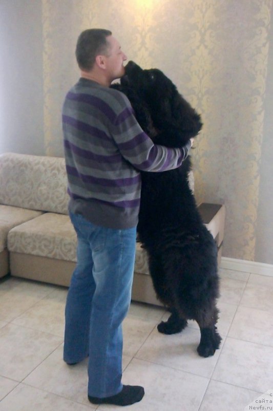 Фотография № 205610