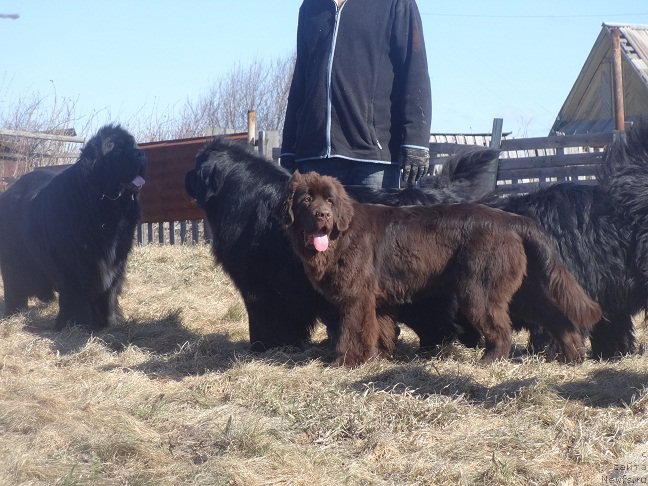 Фотография № 205613