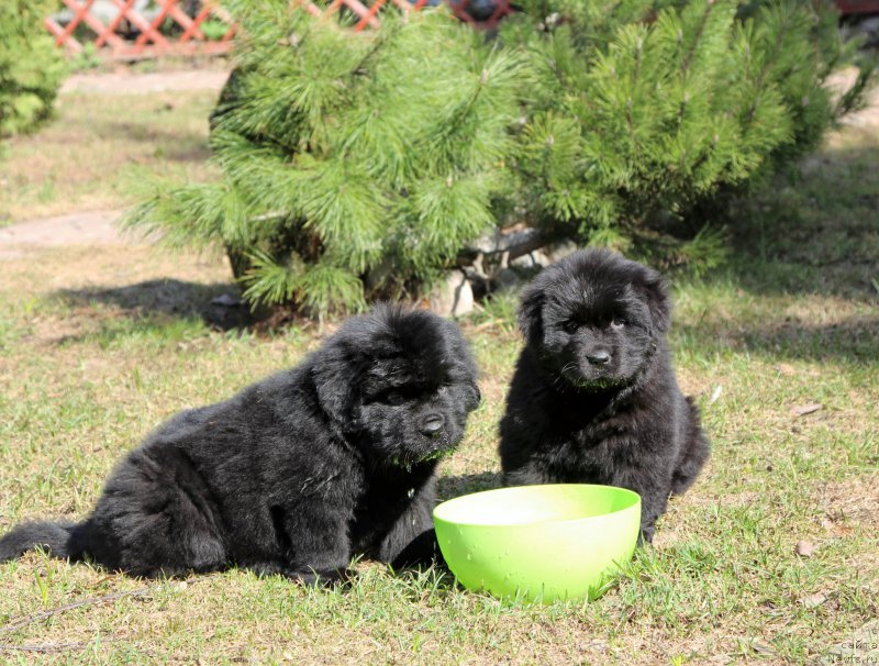 Фотография № 205651