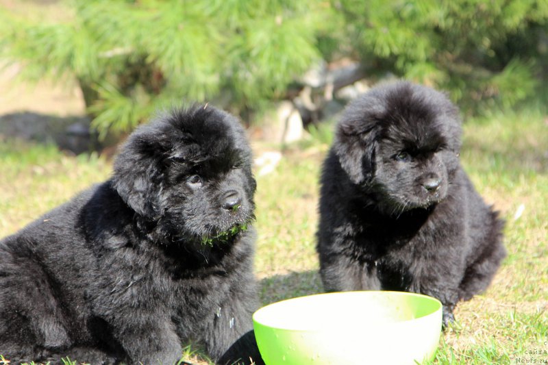 Фотография № 205652