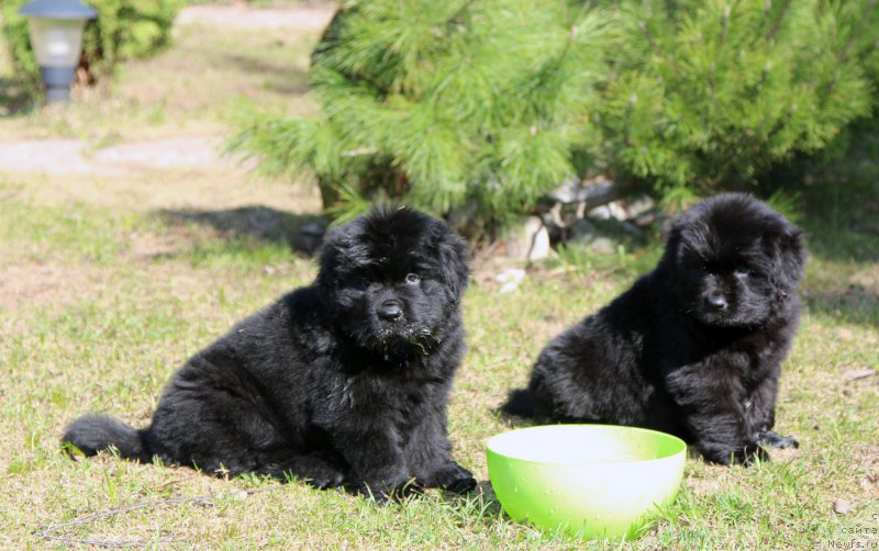 Фотография № 205653