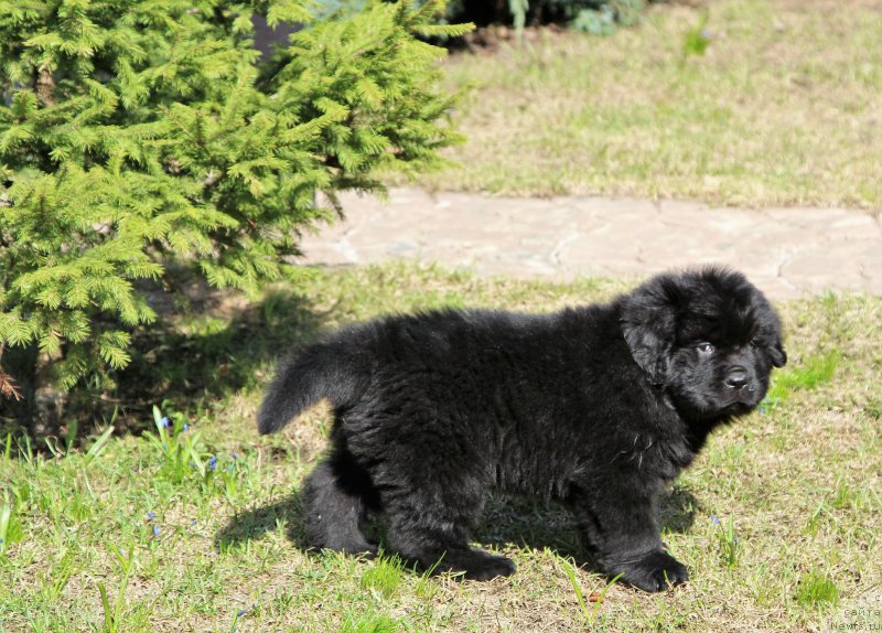 Фотография № 205656