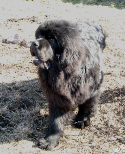 Фотография № 205659