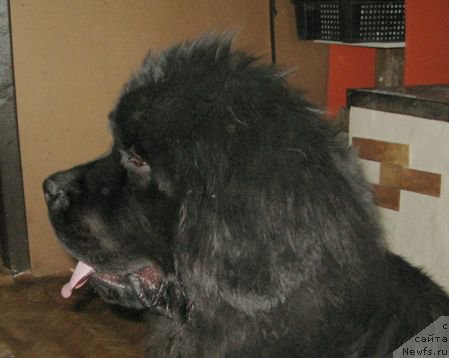 Фотография № 205660